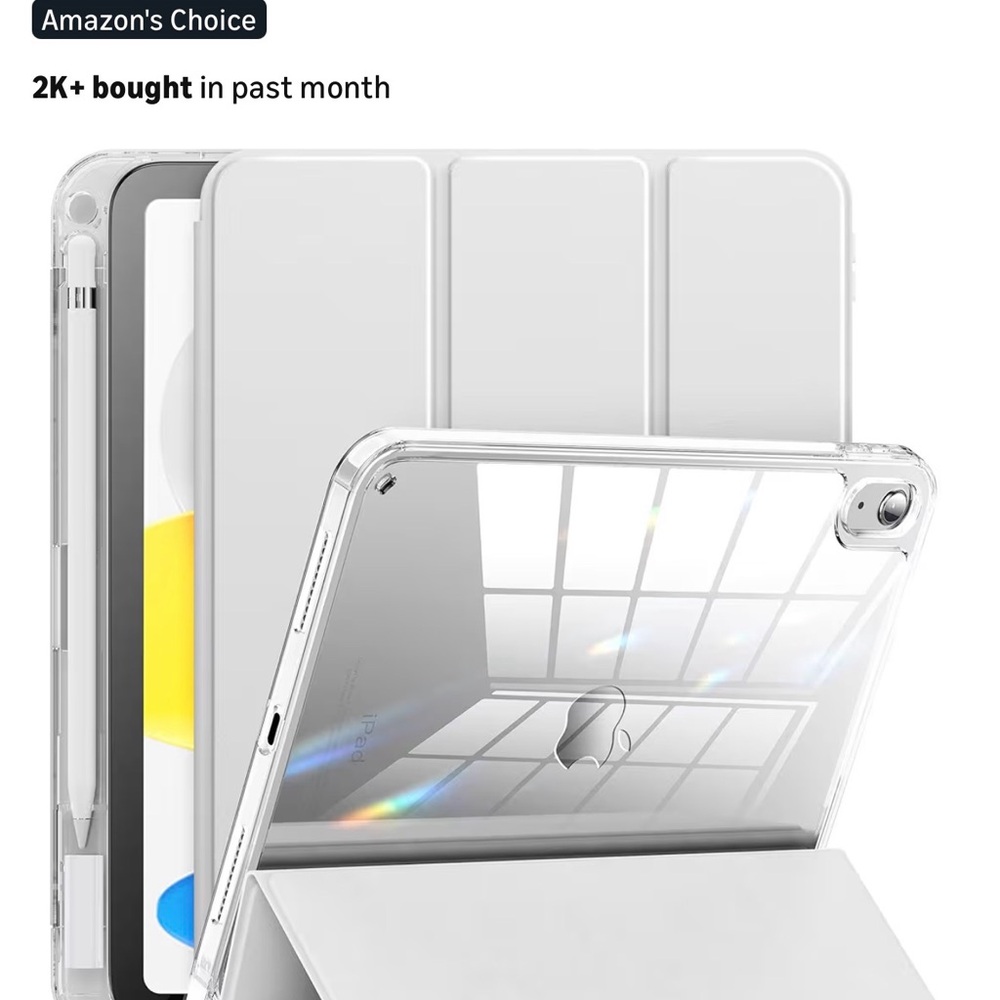Apple iPad Case